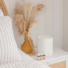 LIVELY LIVING AROMA CLOUD HUMIDIFIER DIFFUSER + IMMUNE OIL