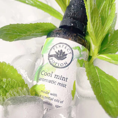 PERFECT POTION COOL MINT AROMATIC MIST