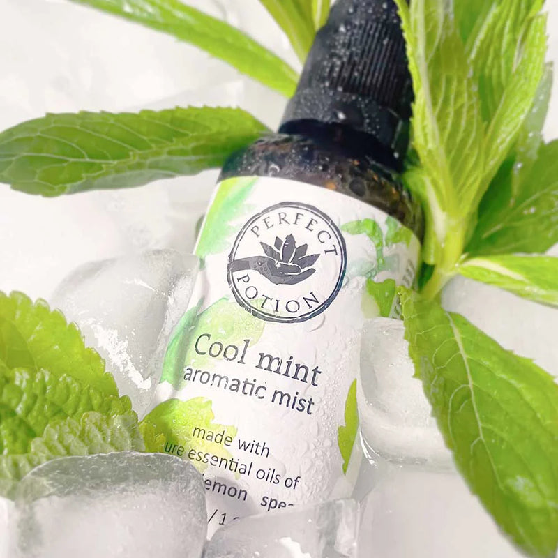 PERFECT POTION COOL MINT AROMATIC MIST