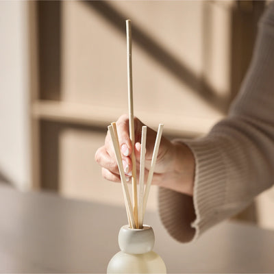 AL.IVE BODY DIFFUSER MANGO & LYCHEE