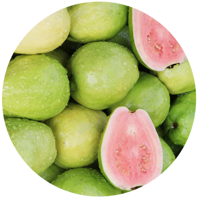 ECOYA CAR DIFFUSER REFILL GUAVA & LYCHEE