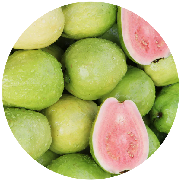 ECOYA CAR DIFFUSER REFILL GUAVA & LYCHEE