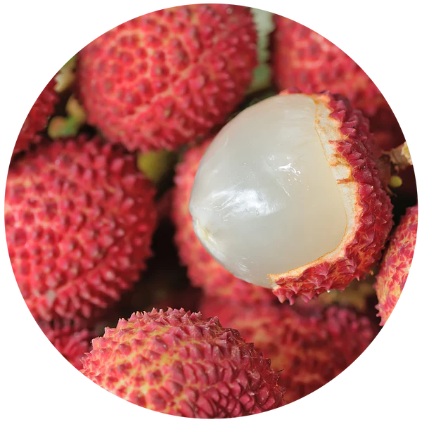 ECOYA CAR DIFFUSER REFILL GUAVA & LYCHEE