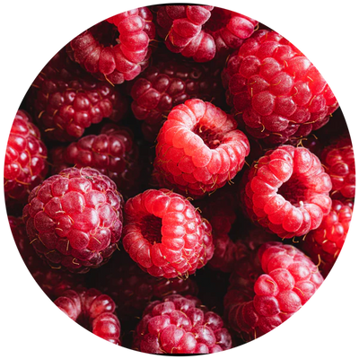 ECOYA CAR DIFFUSER REFILL GUAVA & LYCHEE