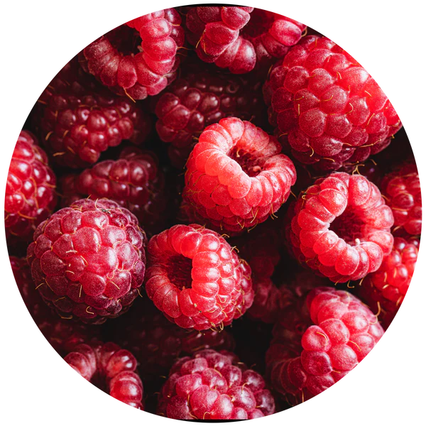 ECOYA CAR DIFFUSER REFILL GUAVA & LYCHEE