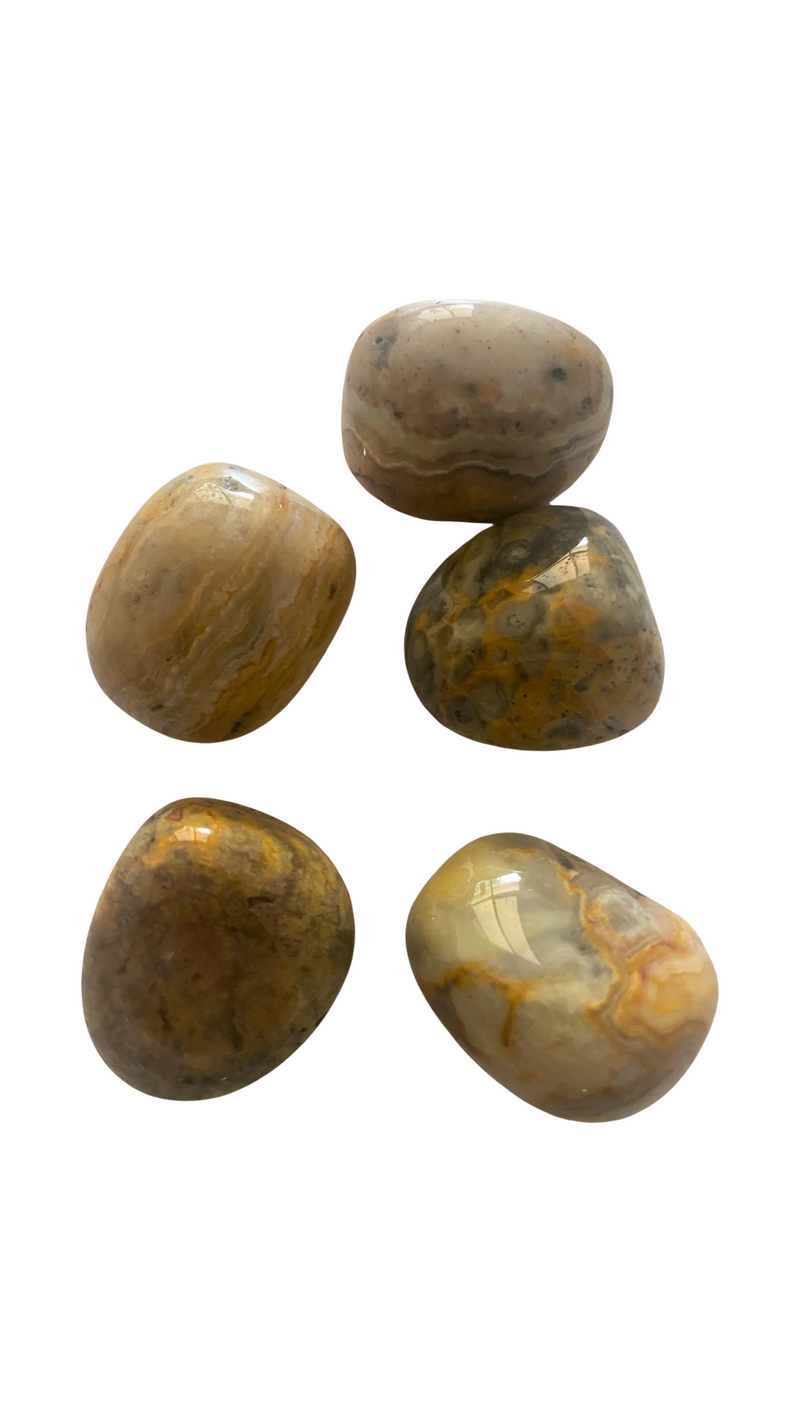 CRAZY LACE AGATE YELLOW