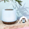 LIVELY LIVING AROMA HOME DIFFUSER 500ML + BONUS IMMUNE OIL