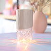 LIVELY LIVING AROMA PETAL CRSTAL LIGHT DIFFUSER + BONUS OIL - NUDE BROWN