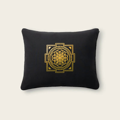 SHAKTI PREMIUM ACUPRESSURE PILLOW BLACK