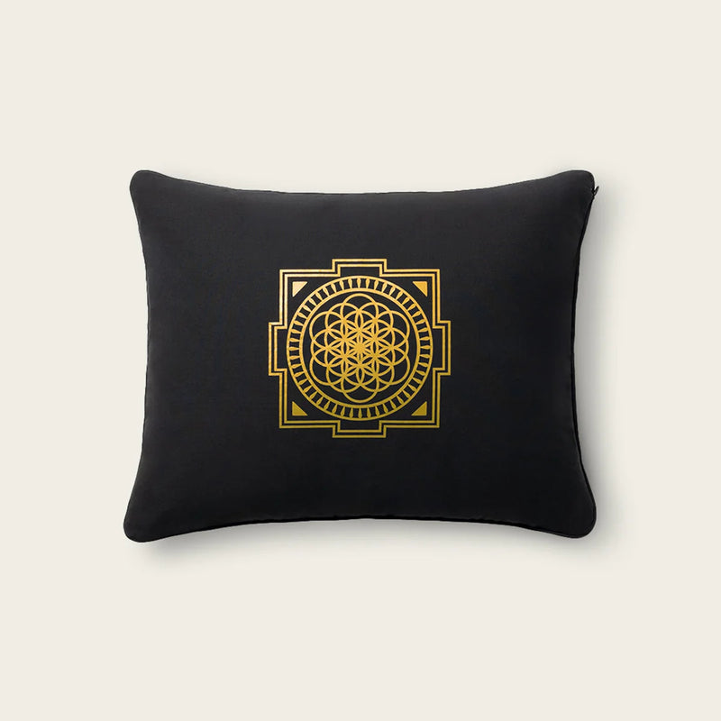 SHAKTI PREMIUM ACUPRESSURE PILLOW BLACK