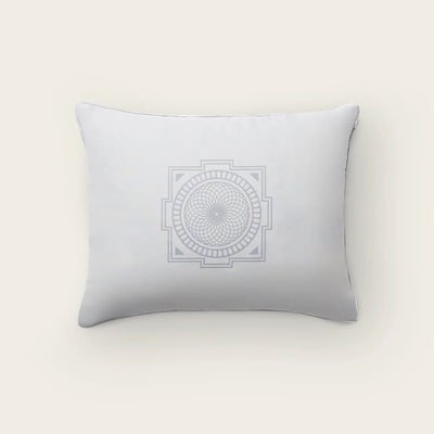 SHAKTI PREMIUM ACUPRESSURE PILLOW MOONSTONE
