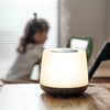 LIVELY LIVING AROMA HOME DIFFUSER 500ML + BONUS IMMUNE OIL