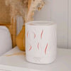 LIVELY LIVING AROMA CLOUD HUMIDIFIER DIFFUSER + IMMUNE OIL