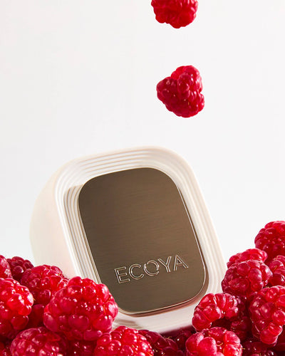 ECOYA PLUG IN DIFFUSER ROSEWATER & RASPBERRY